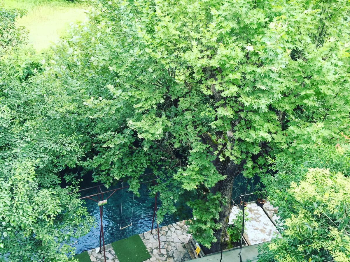 Yuvarlakcay Cinar Butik Hotel Koycegiz  Exterior photo